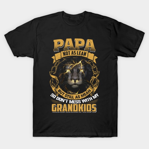 Papa T-Shirt by jonetressie